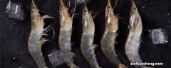 养虾设备 养殖 室内 虾的养殖方法家里养殖