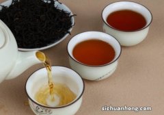 汕头什么茶最有名