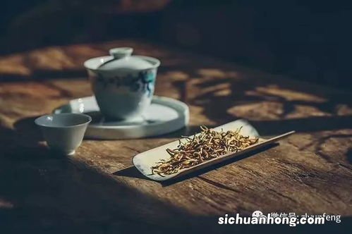 普洱茶加泡什么最好喝