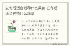 立冬后适合栽种什么菜苗 立冬后适合种植什么蔬菜