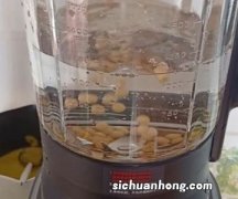 黄豆泡多久打豆浆好