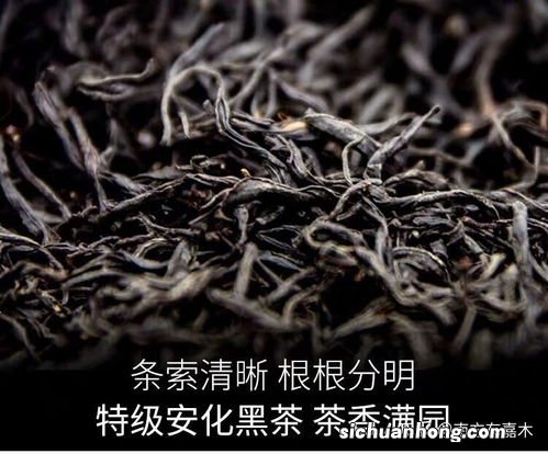 金花散茯属于什么茶