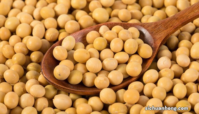 黄豆什么时间种合适 黄豆什么时间种