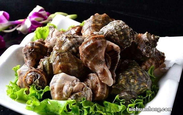 海螺片焯水多久不老