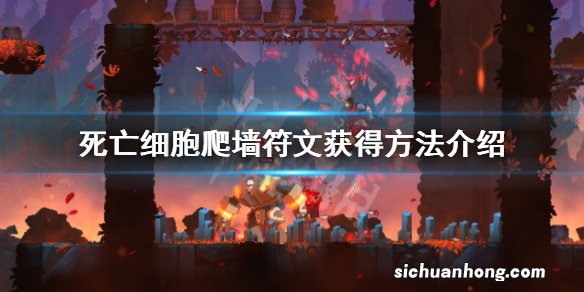 死亡细胞爬墙符文在哪里-爬墙符文获得方法介绍