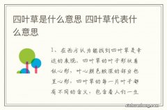 四叶草是什么意思 四叶草代表什么意思