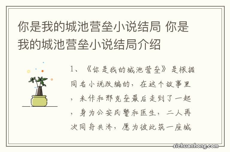 你是我的城池营垒小说结局 你是我的城池营垒小说结局介绍