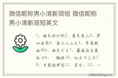 微信昵称男小清新简短 微信昵称男小清新简短英文