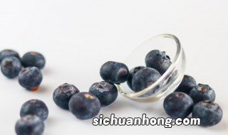 中国的蓝莓之乡在哪里 中国的蓝莓之乡所在地