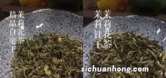 北京人为什么爱喝花茶