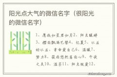 很阳光的微信名字 阳光点大气的微信名字