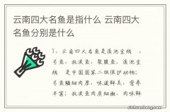 云南四大名鱼是指什么 云南四大名鱼分别是什么