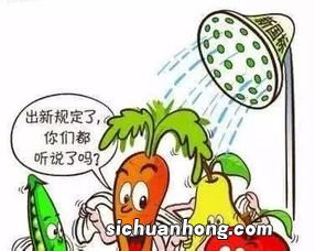 安全茶是什么意思