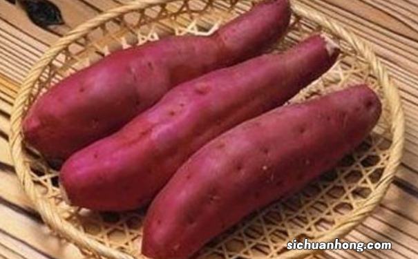 生活中哪些食物吃了能排毒养颜呢?吃什么食物能排毒又养颜?