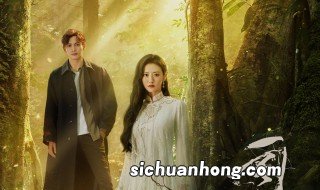 司藤头上开花什么意思 司藤电视剧简介