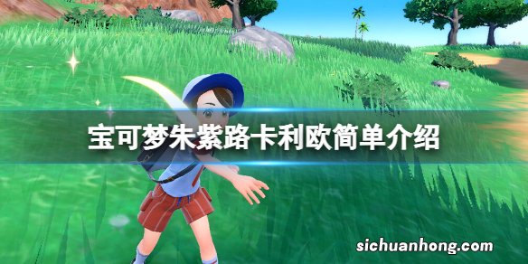 宝可梦朱紫路卡利欧属性是什么-路卡利欧简单介绍