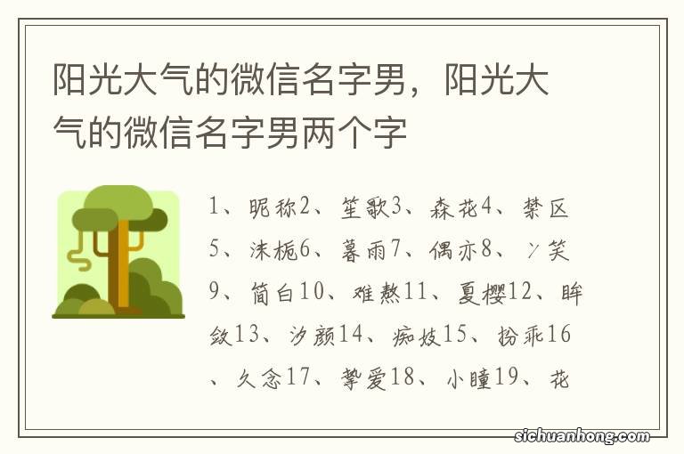 阳光大气的微信名字男，阳光大气的微信名字男两个字