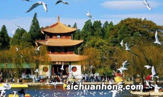 去昆明旅游旅游注意事项有哪些 去昆明旅游旅游的注意事项