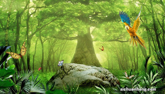 黄桃和绿桃杂交图片 绿桃鹦鹉怎么分雌雄