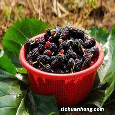 肝肾阴虚怎么办