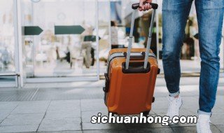 带宝宝去美国旅游需要注意哪些 带宝宝去美国旅游需要注意什么