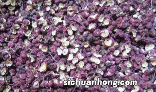 花椒籽怎么种发芽最快 花椒籽如何种发芽快