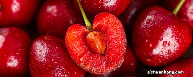 樱桃核能种出樱桃树吗视频 樱桃核怎么种植方法