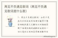 再见不负遇见歌词是什么歌 再见不负遇见歌词