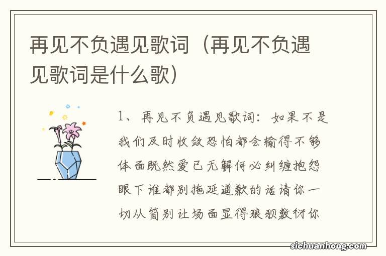 再见不负遇见歌词是什么歌 再见不负遇见歌词