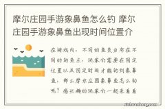 摩尔庄园手游象鼻鱼怎么钓 摩尔庄园手游象鼻鱼出现时间位置介绍