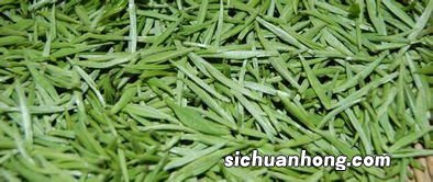 古丈毛尖什么形状