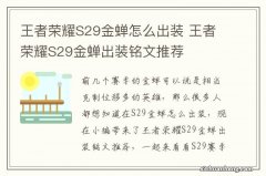 王者荣耀S29金蝉怎么出装 王者荣耀S29金蝉出装铭文推荐