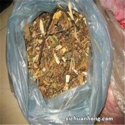 午时茶的功效与作用是什么