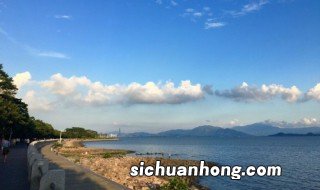 深圳湾公园哪个出口是海边 一出地铁站就看到海的公园