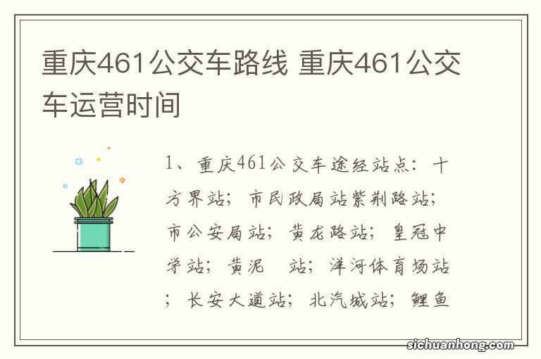 重庆461公交车路线 重庆461公交车运营时间