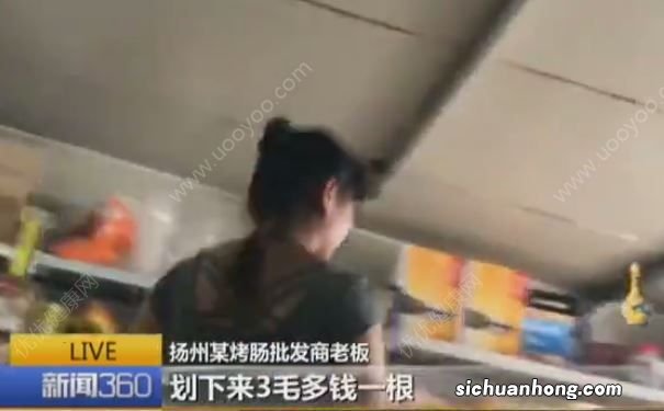 街边烤肠竟然是这些东西做的,含致癌物质,进价仅3毛多一根