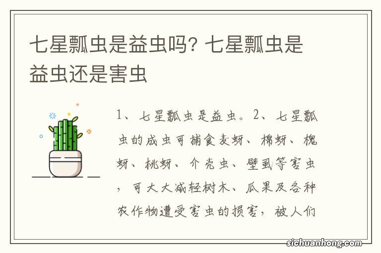 七星瓢虫是益虫吗? 七星瓢虫是益虫还是害虫