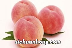 怎样烹饪蔬菜更营养?蔬菜的营养吃法有哪些?