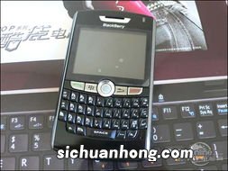 黑莓有什么好处