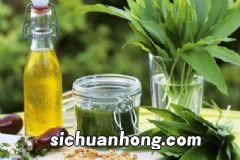 黄鳝的营养价值有什么?黄鳝有什么功效?