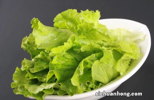 烫生菜放冰箱能保持多久