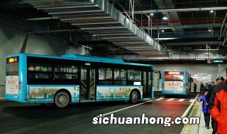 重庆499路公交车线路 共经过多少站