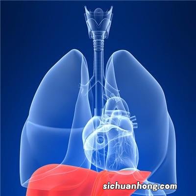 胆管癌吃什么中药