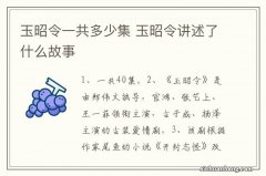 玉昭令一共多少集 玉昭令讲述了什么故事