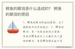 鳄鱼的眼泪是什么造成的？ 鳄鱼的眼泪的原因