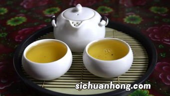 夏天喝什么茶养脾胃