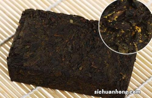 什么品种的黑茶最好