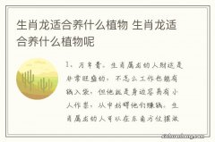 生肖龙适合养什么植物 生肖龙适合养什么植物呢