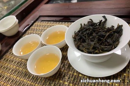 什么茶泡功夫茶