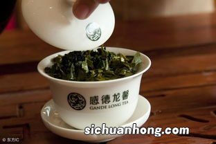 什么茶泡功夫茶